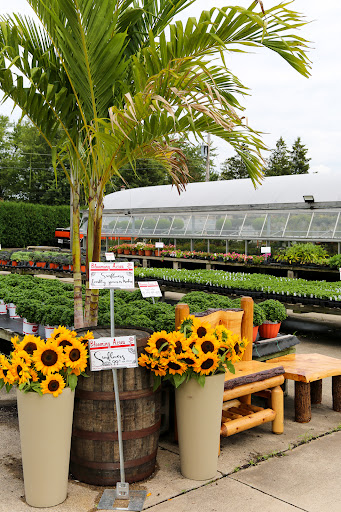 Plant Nursery «Blooming Acres», reviews and photos, 7561 State Rd, Wadsworth, OH 44281, USA