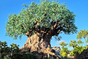 Disney's Animal Kingdom Theme Park image