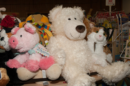 Hobby Store «Time Machine Hobby», reviews and photos, 71 Hilliard St, Manchester, CT 06042, USA