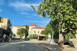 Public cultural institutions Zvonimir Solin image