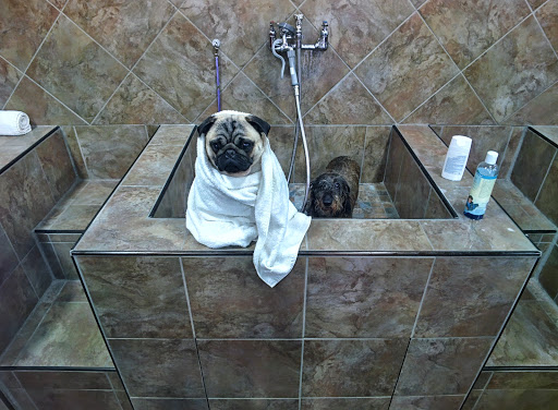 Pet Store «Pet Valu», reviews and photos, 11099 Resort Road a302, Ellicott City, MD 21042, USA