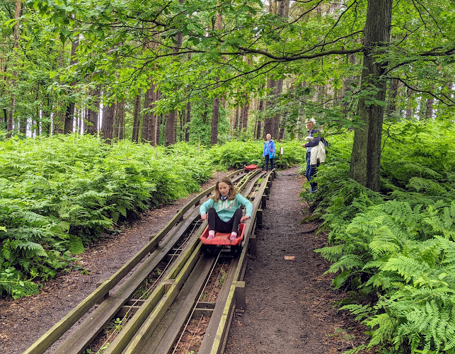 Reviews of Broom House Farm Forest Adventure in Durham - Other