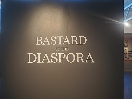 Museum «Houston Museum-African American Culture», reviews and photos, 4807 Caroline St, Houston, TX 77004, USA