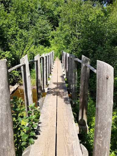 National Park «Isle Royale National Park», reviews and photos