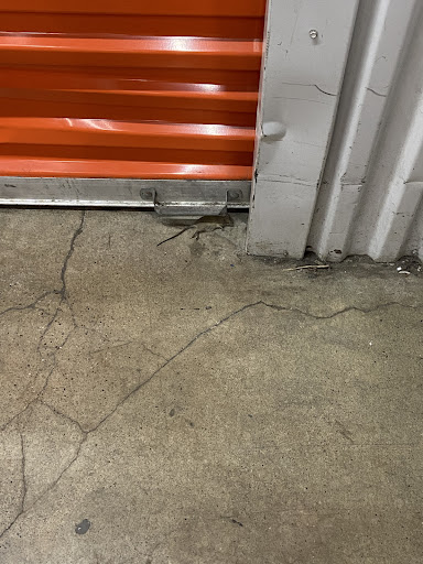 Self-Storage Facility «CubeSmart Self Storage», reviews and photos, 714 Markley St, Norristown, PA 19401, USA