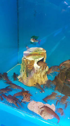 Aquarium «Aquarama Inc», reviews and photos, 2151 NW 27th Ave, Miami, FL 33142, USA