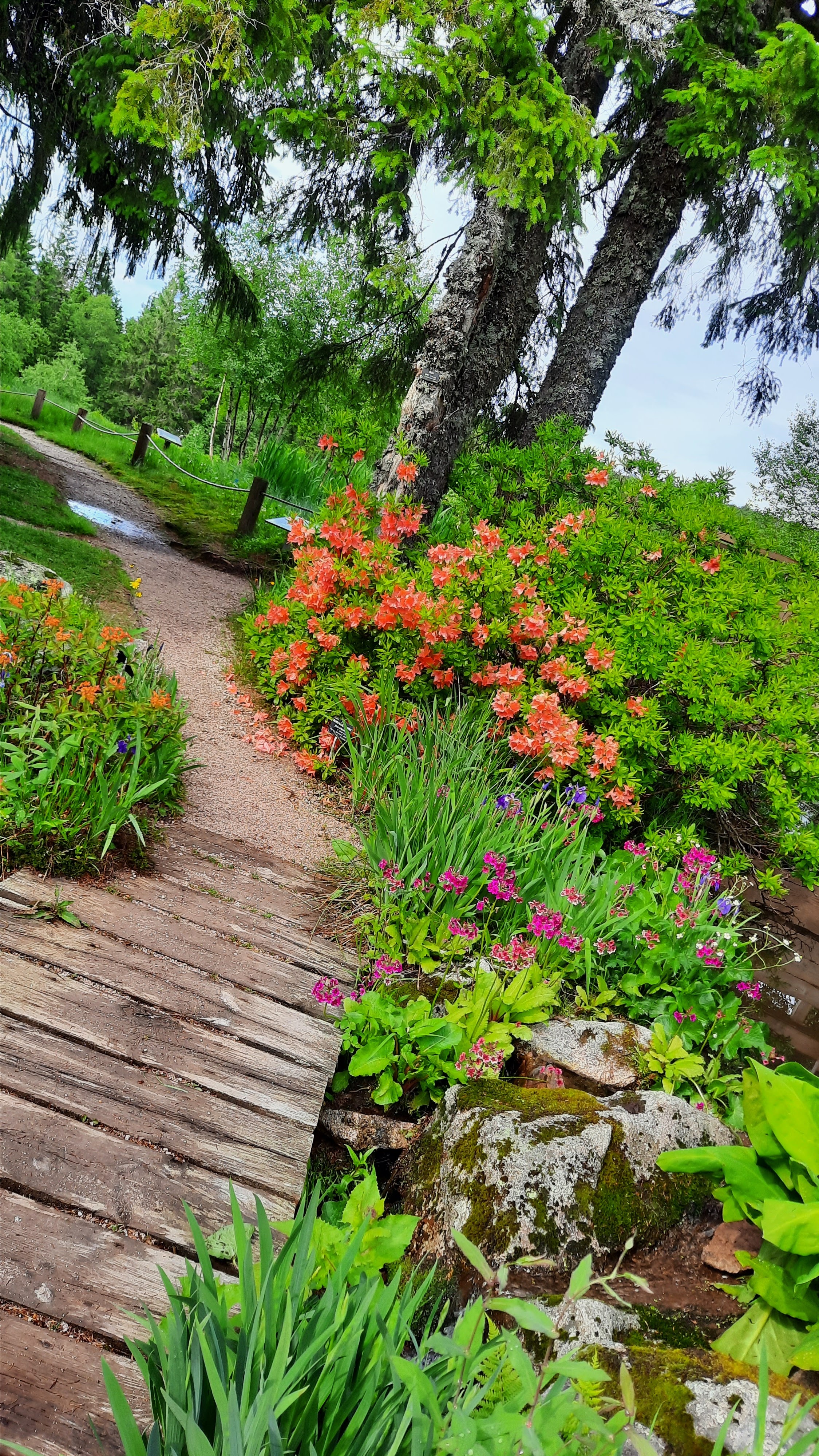 Photo n° 4 de l'avis de Marie-Cécile.A fait le 30/06/2021 à 07:17