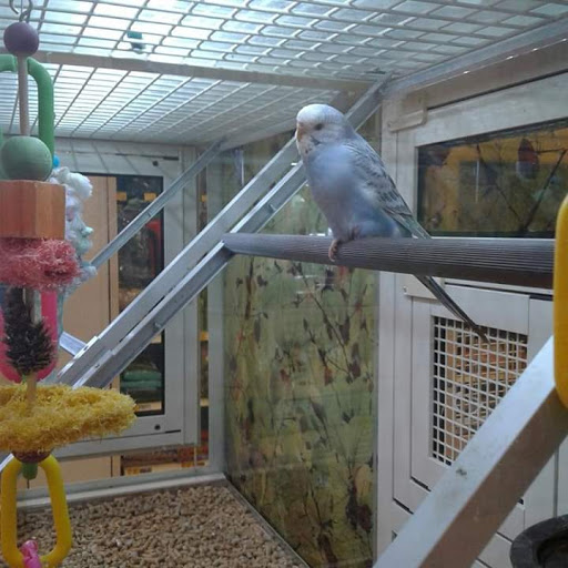 Pet Supply Store «PetSmart», reviews and photos, 278 New Britain Ave, Plainville, CT 06062, USA