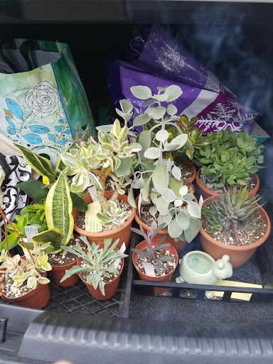 Bar «Market», reviews and photos, 1137 Linda St, Rocky River, OH 44116, USA