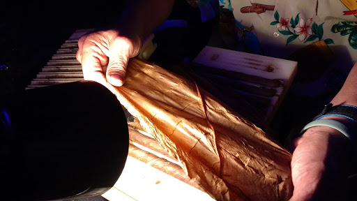 Jaguar Dealer «Barrett Jaguar», reviews and photos, 15423 I-10 West Access Road, San Antonio, TX 78249, USA