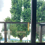 Photo n°9 de l'avis de LAG76. fait le 14/11/2023 à 15:28 sur le  Hotel Giardino à Arona