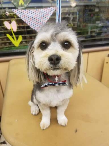 Pet Supply Store «PetSmart», reviews and photos, 1300 John F Kennedy Rd, Dubuque, IA 52002, USA