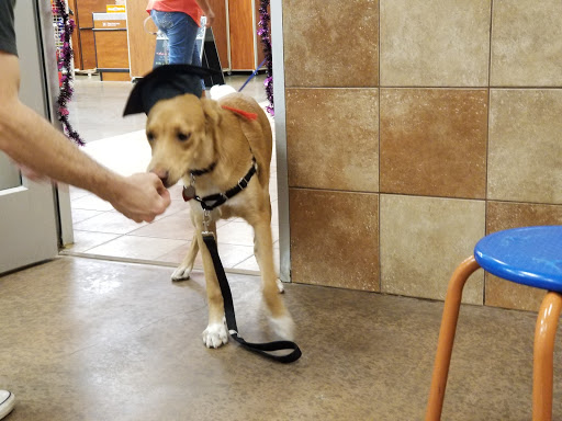 Pet Supply Store «PetSmart», reviews and photos, 1140 W Elliot Rd, Tempe, AZ 85284, USA