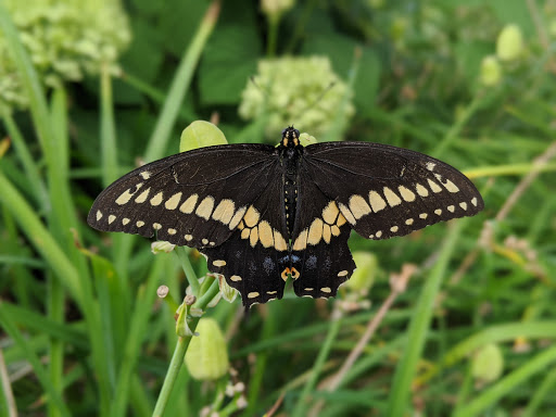 Park «Yahara Place Park», reviews and photos, 2025 Yahara Pl, Madison, WI 53704, USA