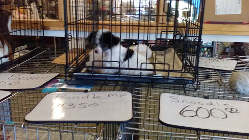 Milton Flea Market, Inc