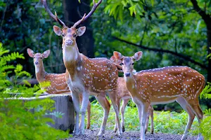 Bethuadahari Wildlife Sanctuary image