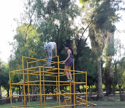 Bosque Centenario Laguna photo