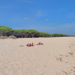 Photo n°1 de l'avis de Ursula.a fait le 15/10/2023 à 20:36 sur le  Osalla Beach Garden à Orosei