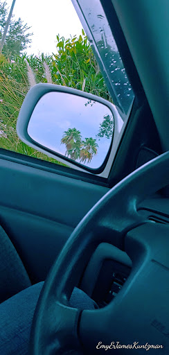 Supermarket «Walmart Neighborhood Market», reviews and photos, 1601 W Kennedy Blvd, Tampa, FL 33606, USA