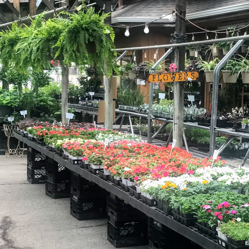 Florist «Sunshine Flowers», reviews and photos, 4509 Rainbow Blvd, Kansas City, KS 66103, USA