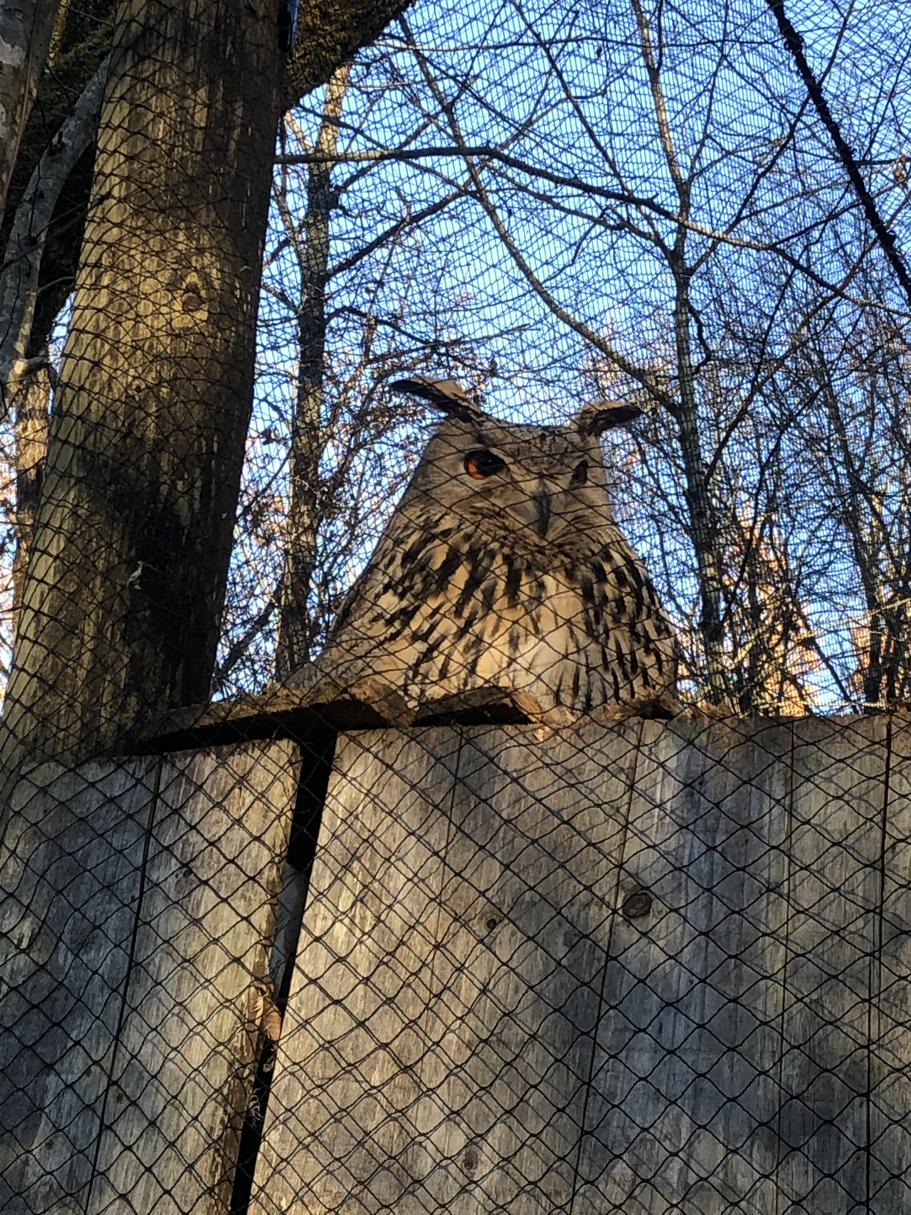 Photo n° 9 de l'avis de Claire.O fait le 18/12/2021 à 17:50