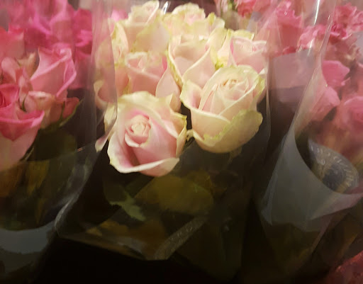 Grocery Store «Safeway», reviews and photos, 1801 W 11th St, Tracy, CA 95376, USA