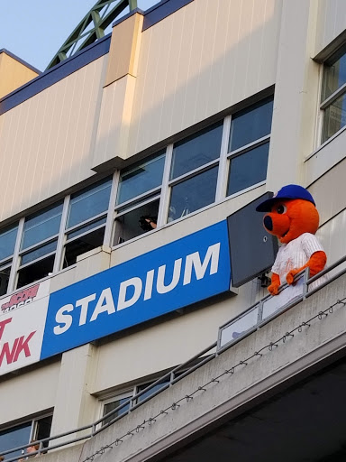 Stadium «NBT Bank Stadium», reviews and photos, 1 Tex Simone Dr, Syracuse, NY 13208, USA