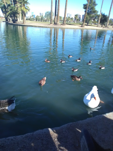 Golf Course «Encanto Golf Course», reviews and photos, 2745 N 15th Ave, Phoenix, AZ 85007, USA