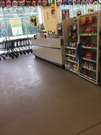 Dollar Tree