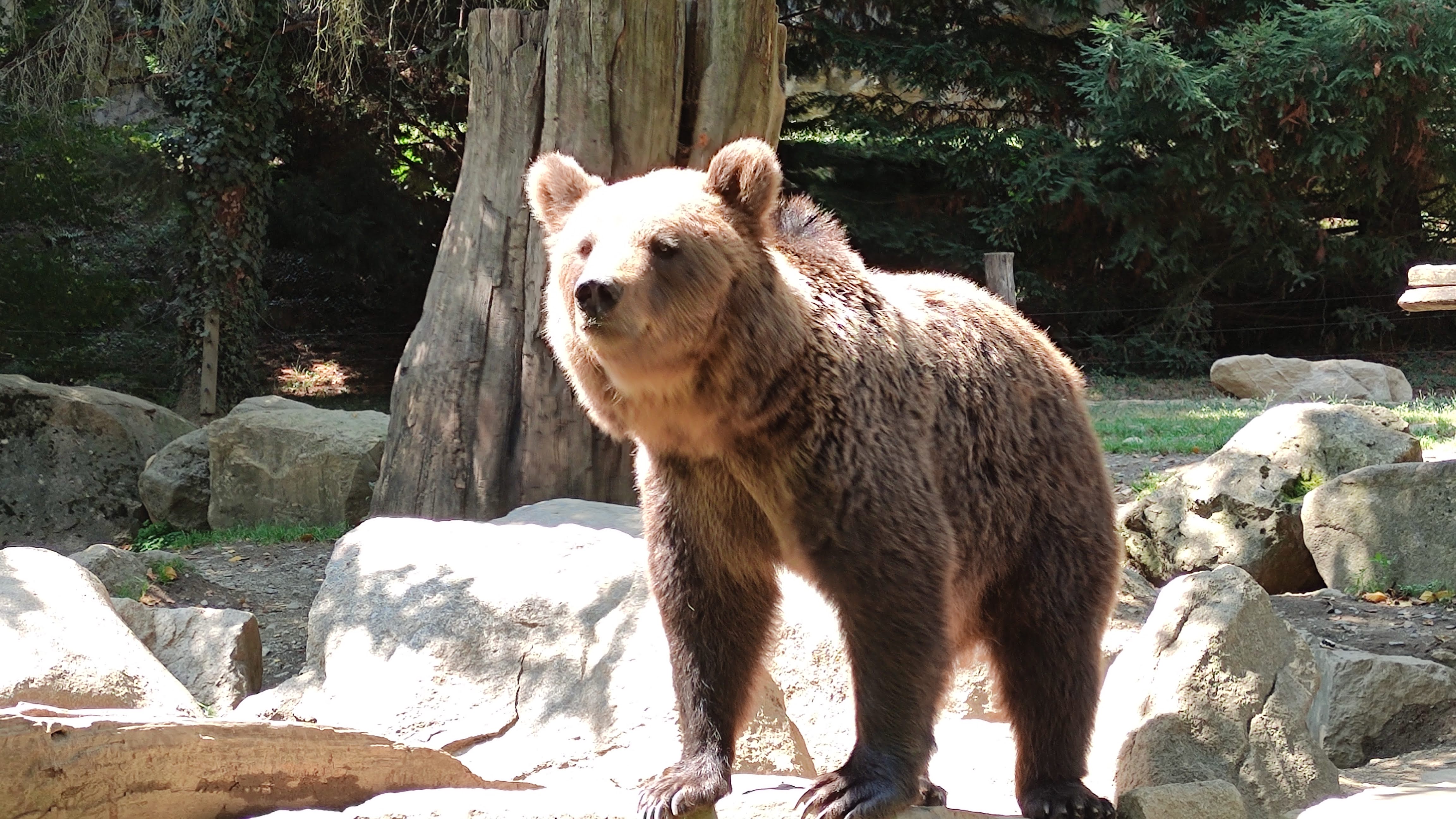 Photo n° 1 de l'avis de Gilles.0 fait le 26/09/2021 à 19:54