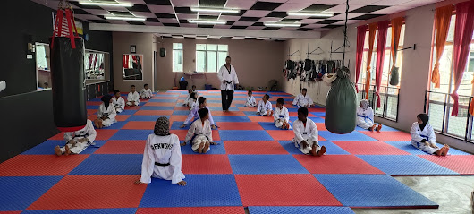 Taiping Tae Kwon Do (WT) Master Jay Jay