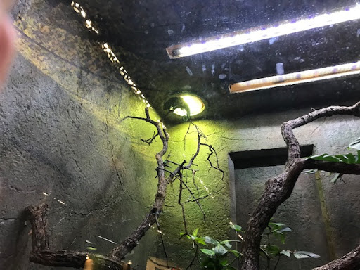 Pet Store «Lost Realms Pets», reviews and photos, 8059 N Cedar Ave, Fresno, CA 93720, USA