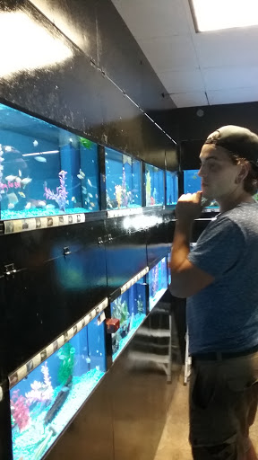 Pet Store «Pet Cove», reviews and photos, 820 E Center St, Kingsport, TN 37660, USA