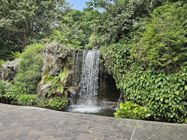 Singapore Botanic Gardens - Singapore