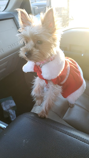 Pet Supply Store «Petco Animal Supplies», reviews and photos, 990 Brook Forest Ave, Shorewood, IL 60431, USA