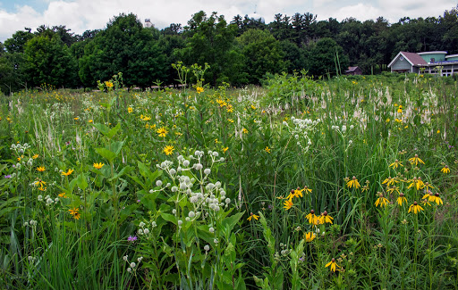 Non-Profit Organization «Aldo Leopold Nature Center», reviews and photos, 330 Femrite Dr, Madison, WI 53716, USA