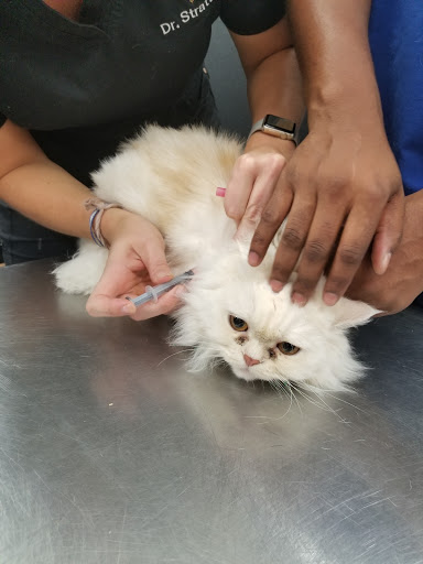 Pet Store «Pet Supermarket, Inc.», reviews and photos, 2446 N University Dr, Coral Springs, FL 33065, USA