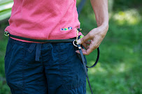 A Better Pet LLC - Photo 4 - Car repair in , Cleveland