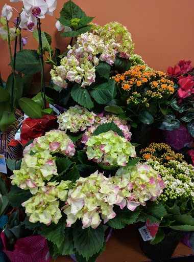 Supermarket «Publix Super Market at Castleberry - Southard Crossing», reviews and photos, 5475 Bethelview Rd, Cumming, GA 30040, USA