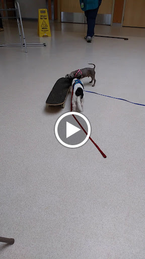 Animal Shelter «Oregon Humane Society», reviews and photos