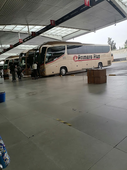 Terminal de autobús