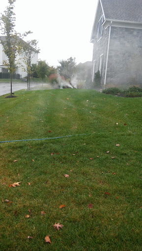 Grocery Store «Primos Mini Market», reviews and photos, 37 Strode Ave, Coatesville, PA 19320, USA