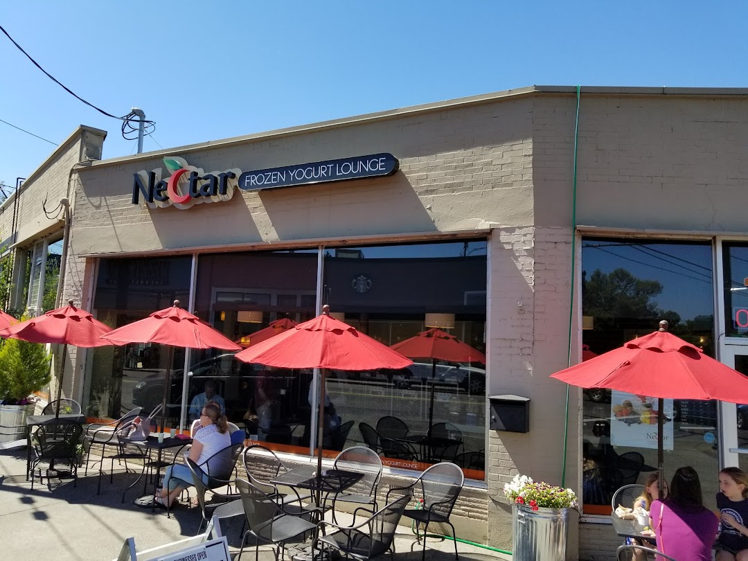 Nectar Frozen Yogurt Lounge