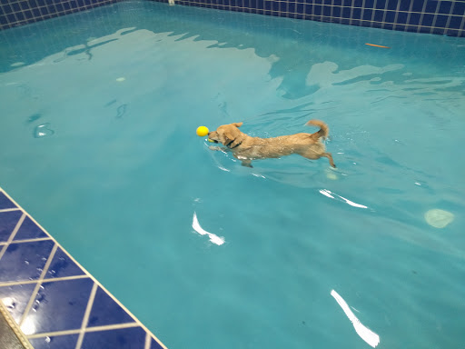 Pet Supply Store «Pet Depot Inc», reviews and photos, 2151 Greenspring Dr, Lutherville-Timonium, MD 21093, USA