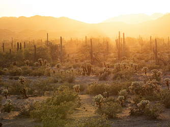 Sonoran Desert National Monument