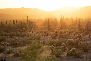 Sonoran Desert National Monument image