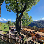 Photo n°1 de l'avis de Gerald.e fait le 03/11/2023 à 14:31 sur le  Leitlkeller à Jenesien