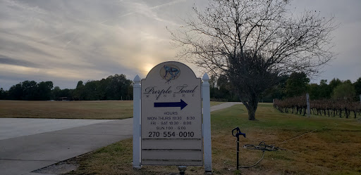 Winery «Purple Toad Winery», reviews and photos, 4275 Old US Hwy 45 S, Paducah, KY 42003, USA