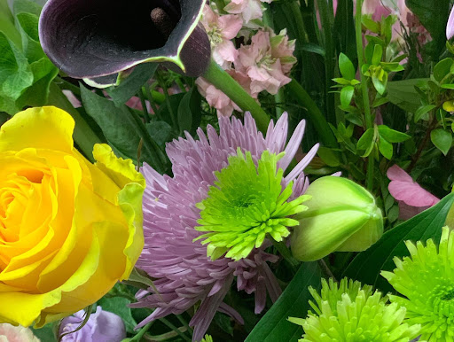 Florist «Park Place Florist and Garden Center», reviews and photos, 72 Park St, Rutland, VT 05701, USA