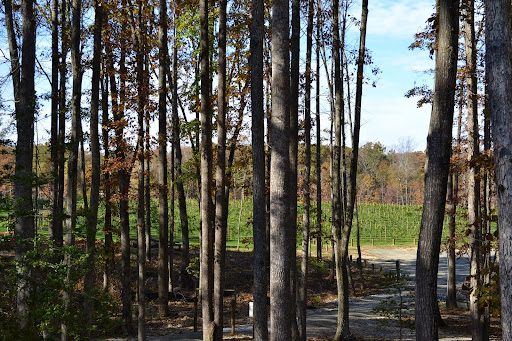 Winery «Grey Horse Vineyards», reviews and photos, 12285 Elk Run Church Rd, Midland, VA 22728, USA